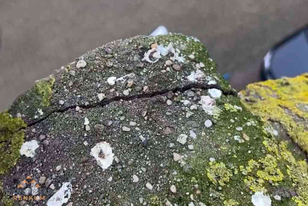 Beschadigde en verweerde nokvorst met scheuren en mos in Renkum