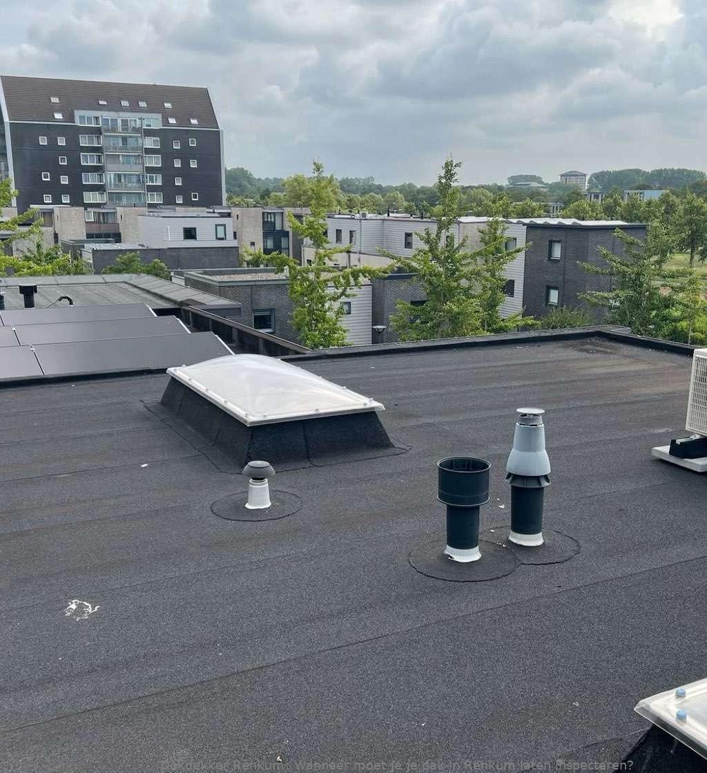 Dak Laten Inspecteren Renkum