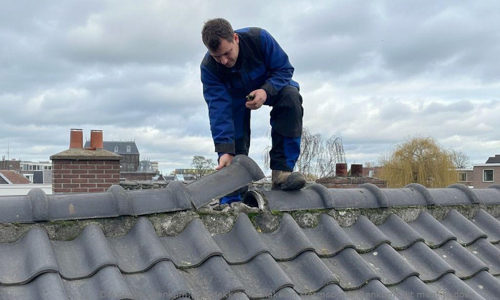 Dakdekker Inschakelen Stormschade Renkum