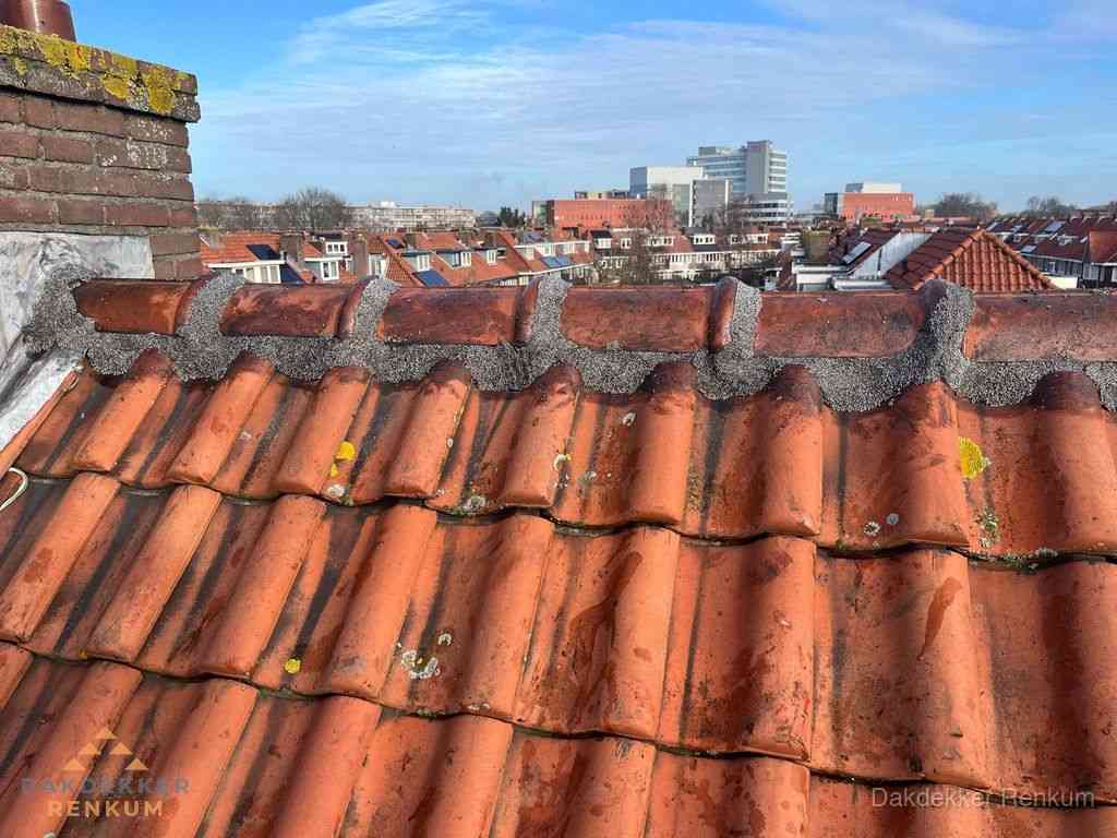 Renkum Daken Renoveren