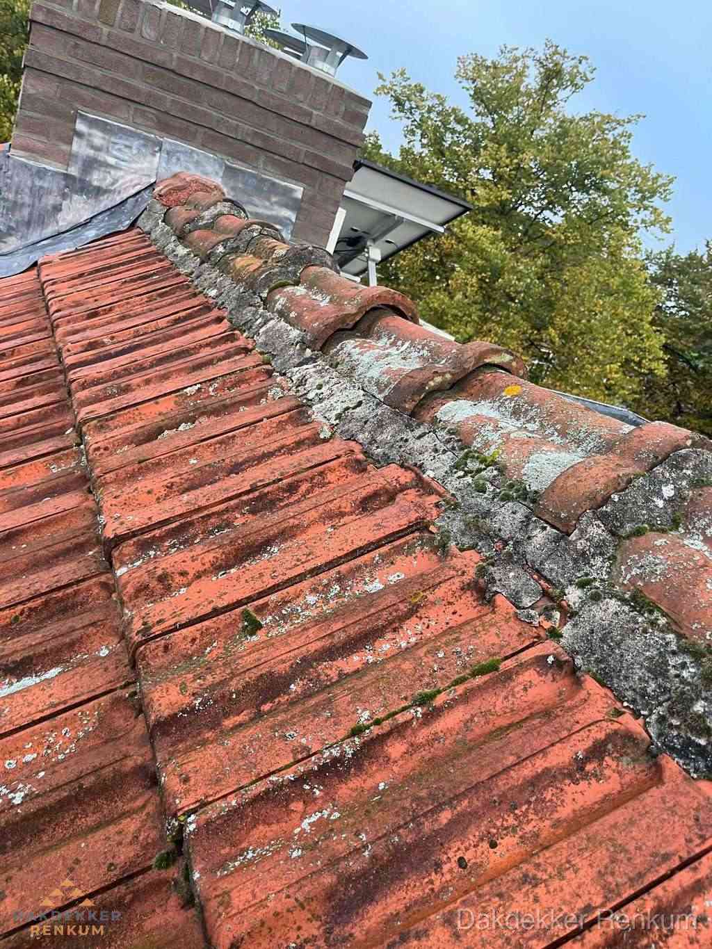 Renovatie Hellend Dak Renkum