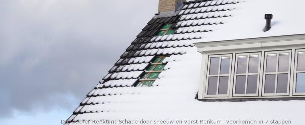 Schade Door Sneeuw En Vorst Renkum