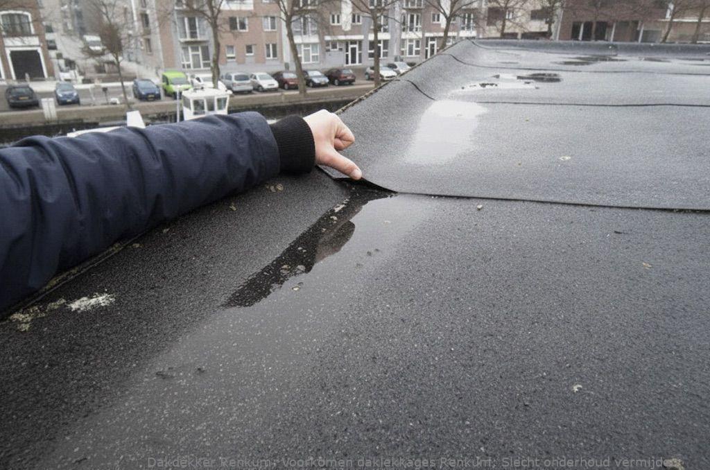 Voorkomen Daklekkages Renkum